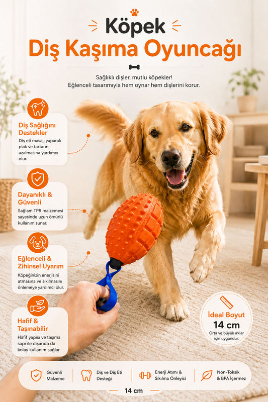 14 cm saplı köpek diş kaşıma oyuncağı, dokulu çiğneme yüzeyli, diş eti masajına yardımcı, hafif ve dayanıklı köpek oyuncağı