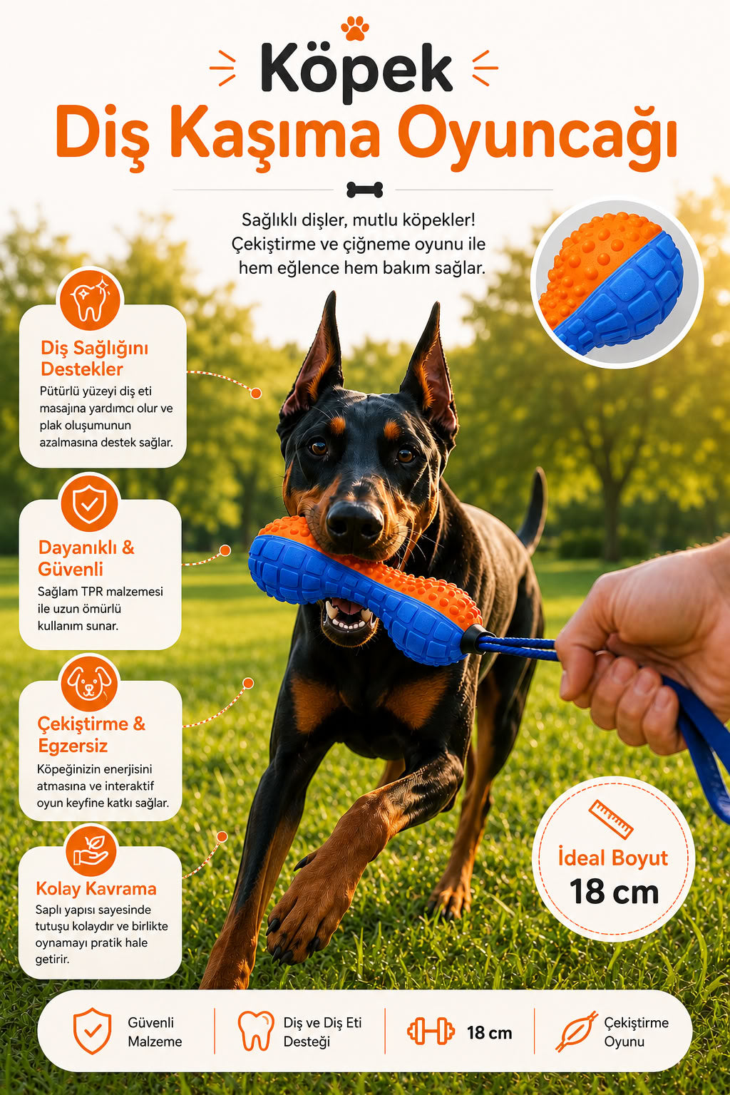 18 cm saplı köpek diş kaşıma oyuncağı, dokulu çiğneme yüzeyli, çekiştirme oyununa uygun, diş eti masajına yardımcı dayanıklı köpek oyuncağı