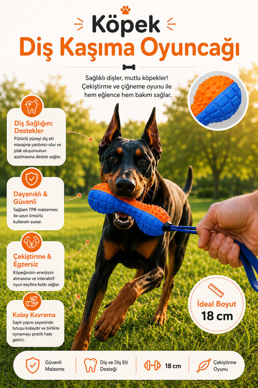 18 cm saplı köpek diş kaşıma oyuncağı, dokulu çiğneme yüzeyli, çekiştirme oyununa uygun, diş eti masajına yardımcı dayanıklı köpek oyuncağı