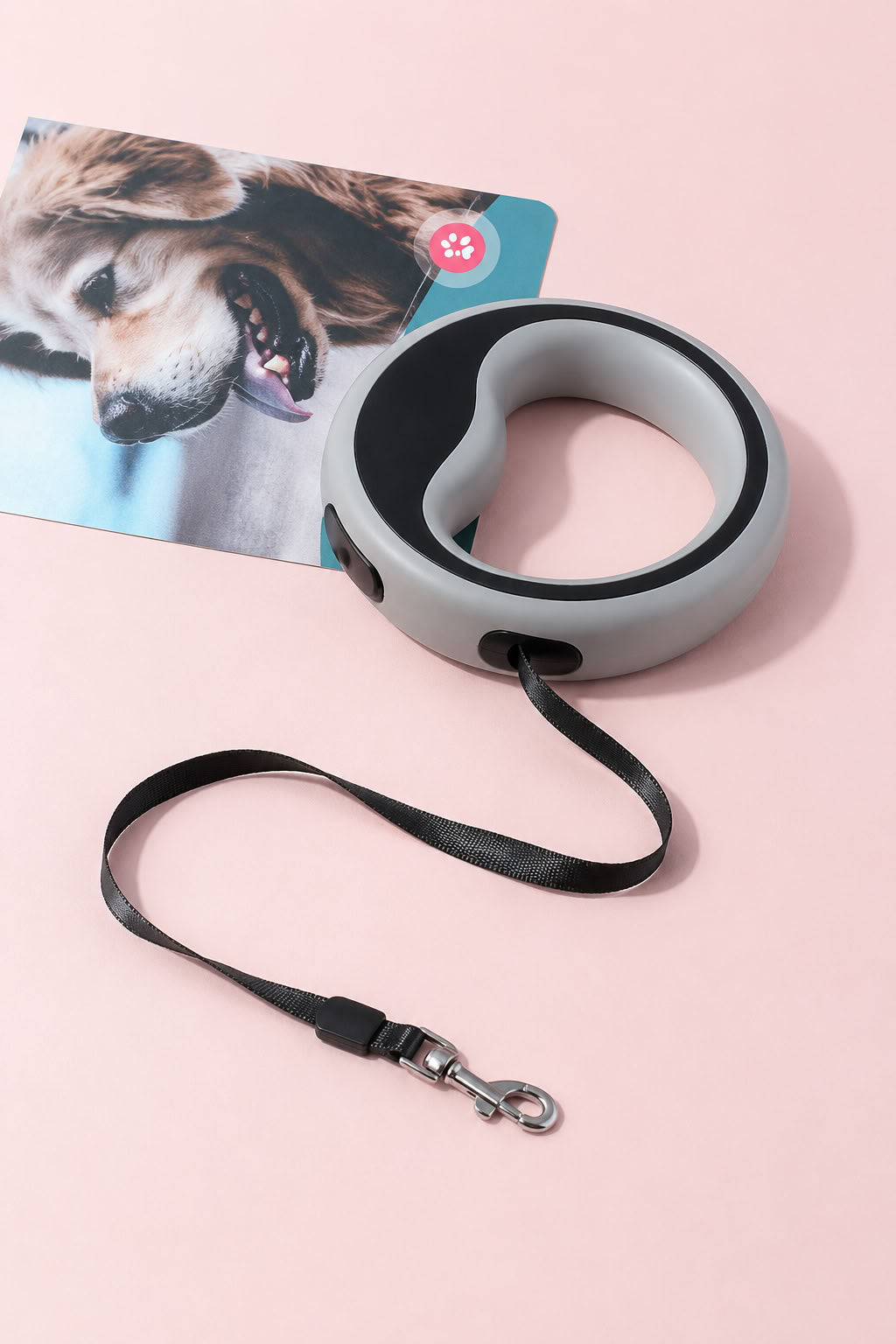 2.5 metre otomatik uzayan köpek gezdirme tasması, fren ve kilit sistemli, ergonomik tutuşlu, güçlü metal kancalı, mavi pembe ve gri renk seçenekli köpek tasması