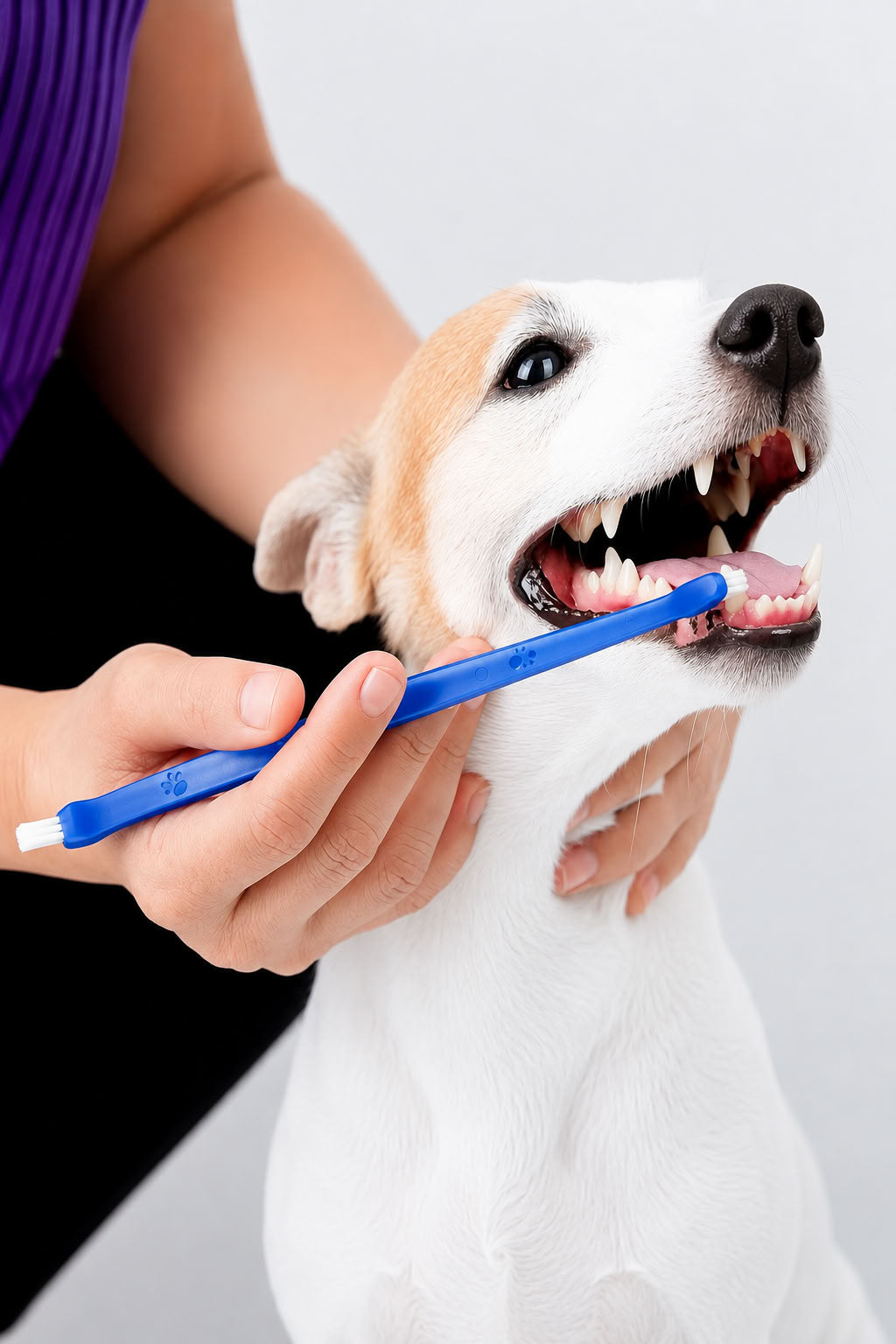 Çift Taraflı 4’lü Köpek ve Kedi Diş Temizleme Fırçası Seti