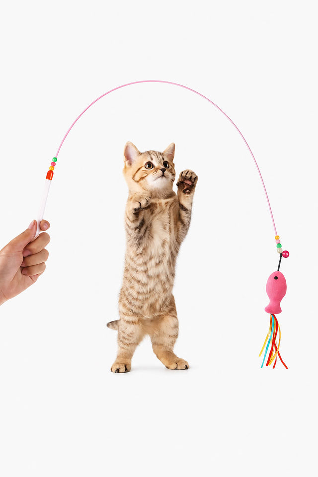 Balık uçlu esnek kedi oltası oyuncağı ile oynayan yavru kedi, interaktif kedi oyuncağı