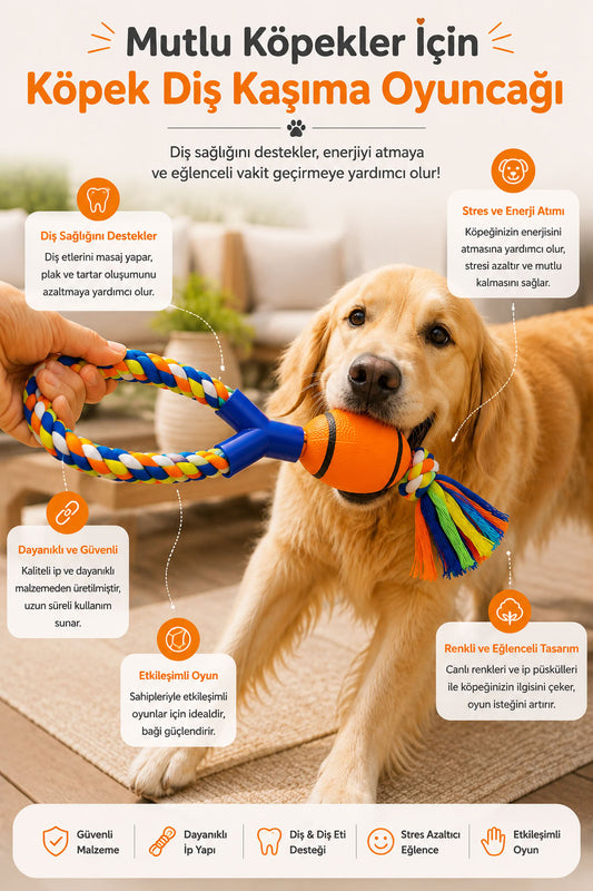 Halatlı Toplu Köpek Diş Kaşıma Oyuncağı Renkli İpli Çekiştirme Oyuncağı Dayanıklı Diş Eti Destekleyici İnteraktif Köpek Oyuncağı Stres Azaltıcı Getir Götür Oyun Topu