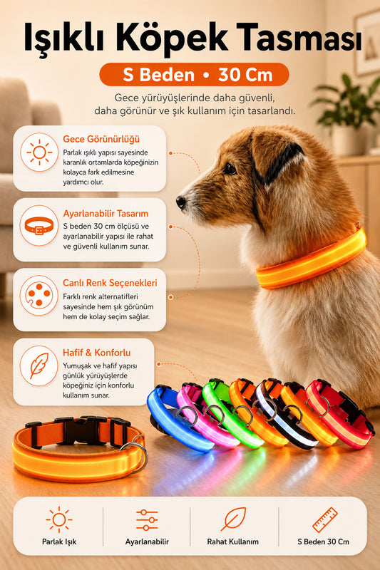 Işıklı kedi köpek boyun tasması, renkli pilli small 30 cm ayarlanabilir gece görünür hafif kedi ve köpek tasması