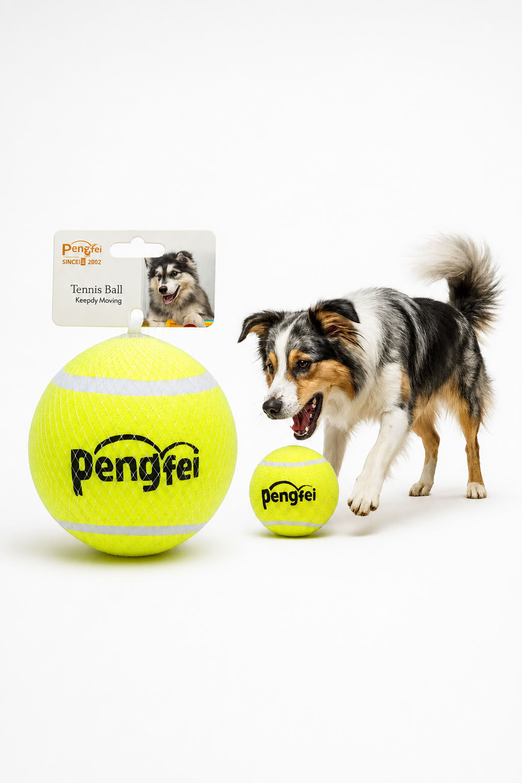 Sert köpek eğitim tenis topu, 10 cm dayanıklı zıplayan köpek topu, eğitim ve getir götür oyunları için oyun topu