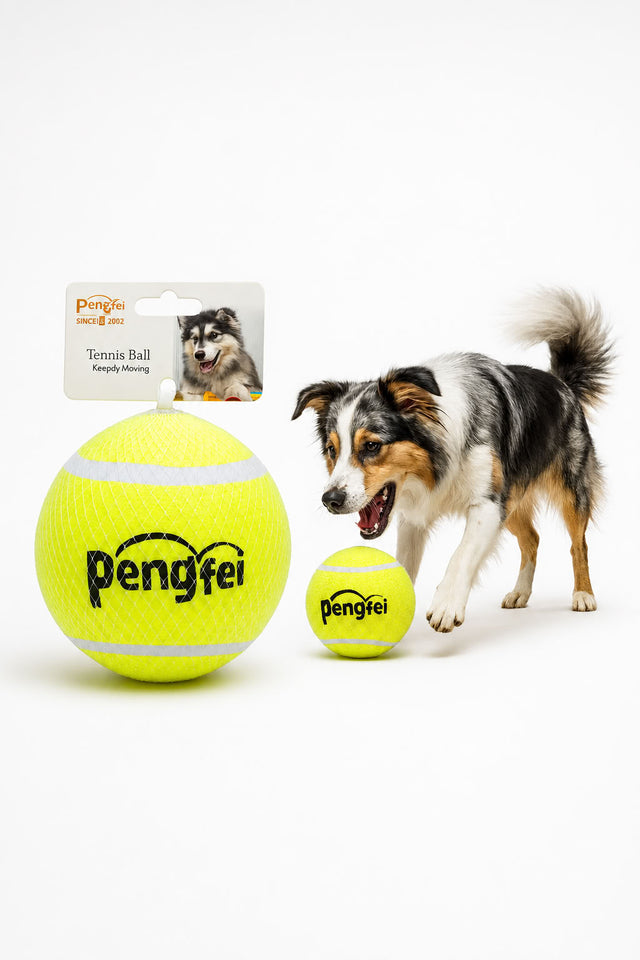 Sert köpek eğitim tenis topu, 10 cm dayanıklı zıplayan köpek topu, eğitim ve getir götür oyunları için oyun topu