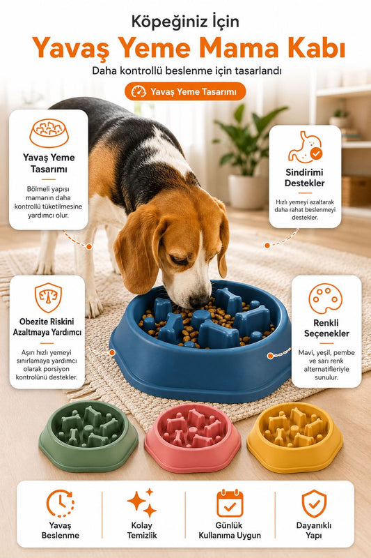 Yavaş yeme mama kabı, bölmeli tasarımlı köpek mama kabı, mavi yeşil pembe sarı renk seçenekli, kontrollü beslenme destekleyici dayanıklı mama kabı